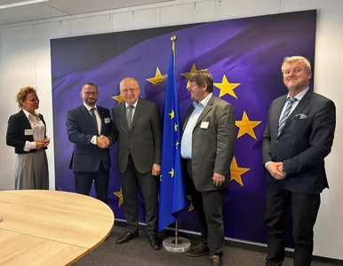 Miniatura: Europa na krawędzi? Polski biznes wie, jak...