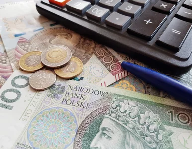 Miniatura: Mikrorachunek. Co zyskuje przedsiębiorca?